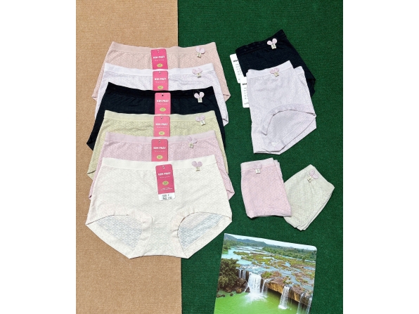 QUẦN KIM PHÁT 1752 - LỐC 10 CÁI